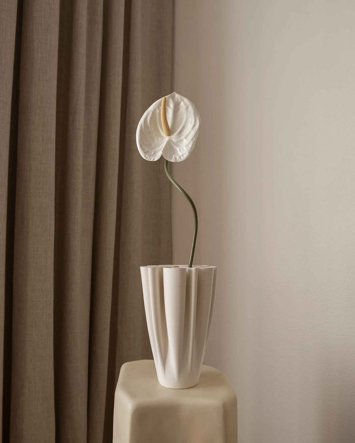 Anthurium fra Amarante
