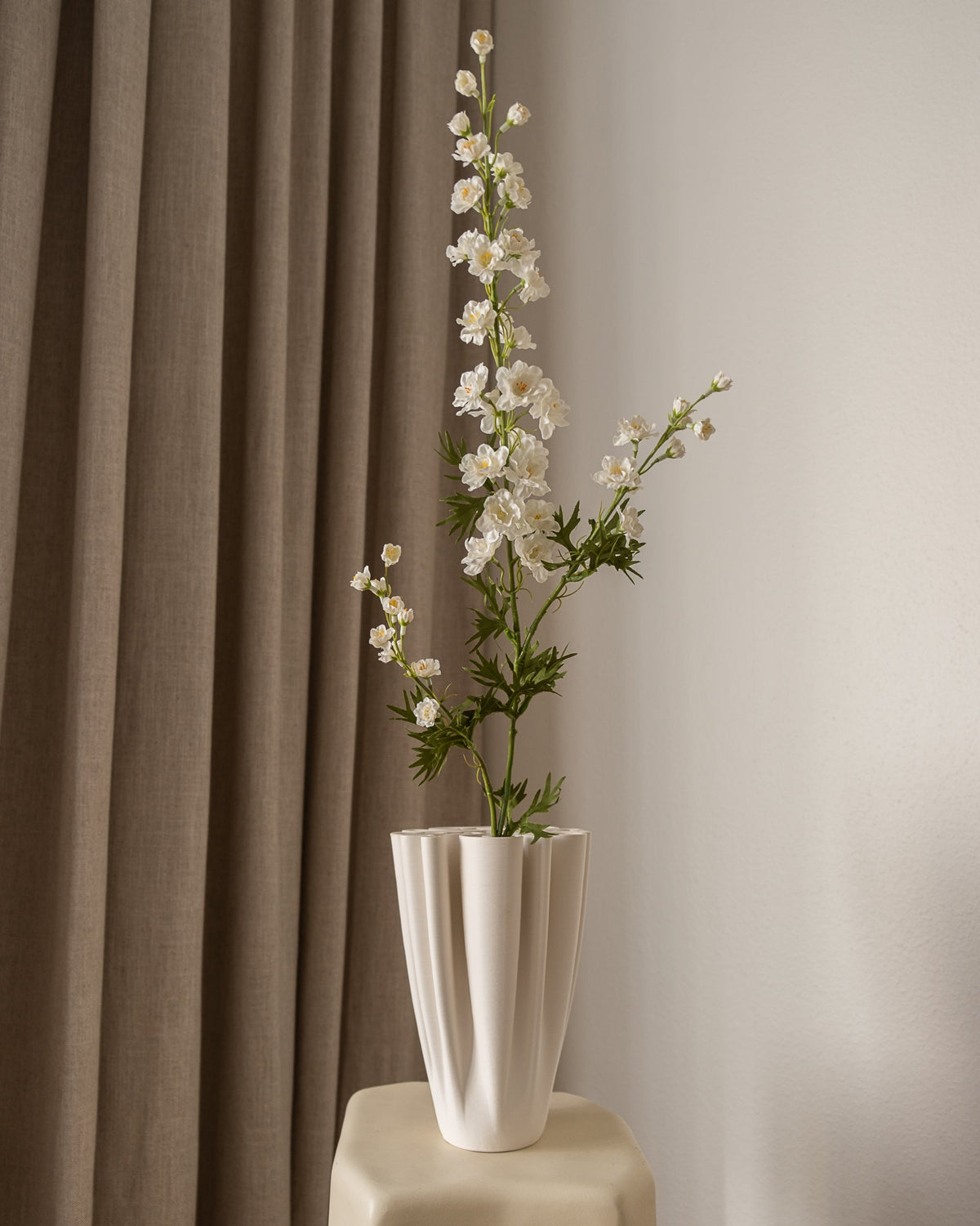 Delphinium (lang) Hvit fra Amarante