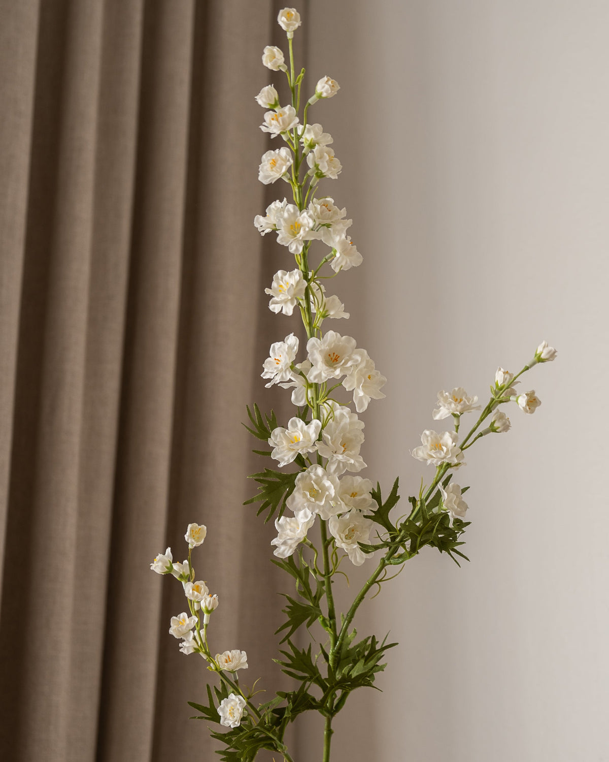 Delphinium (lang) Hvit fra Amarante