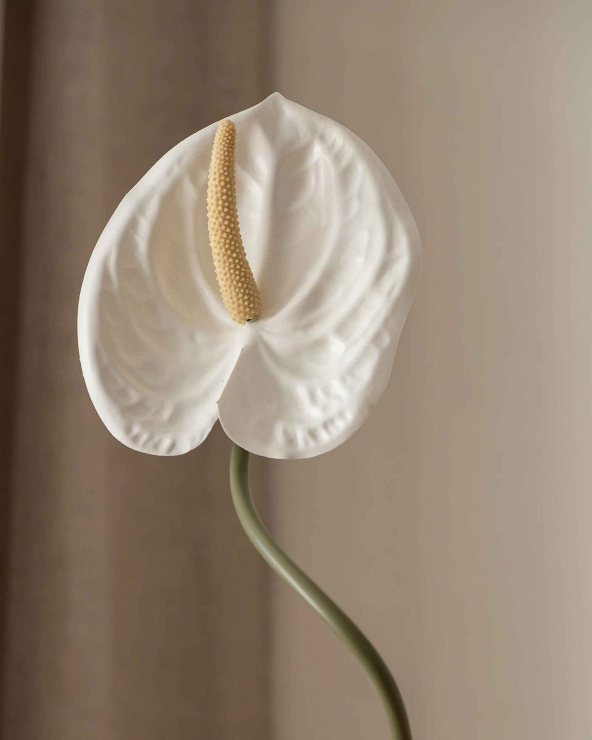 Anthurium fra Amarante