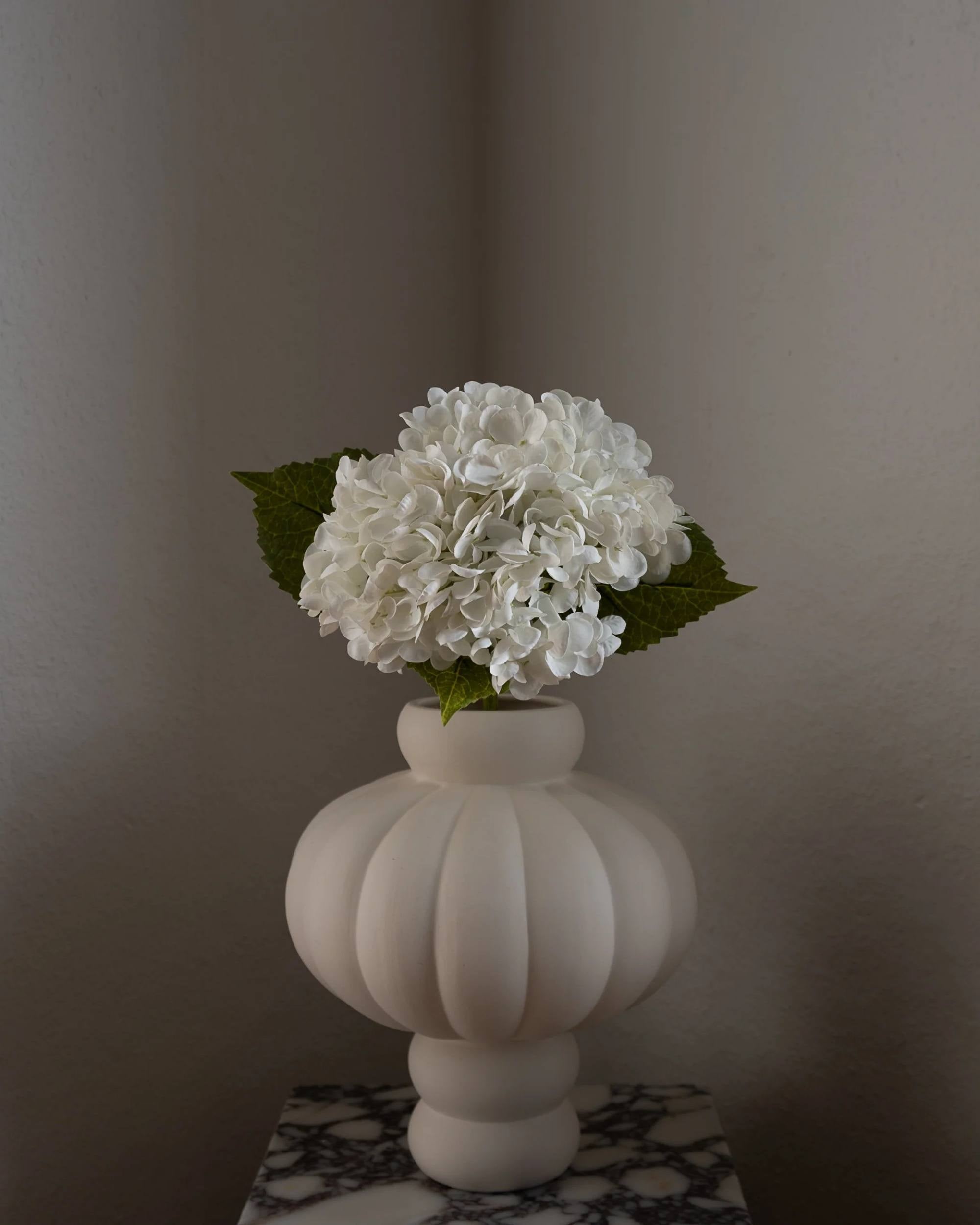 Hortensia fra Amarante (1 stk)