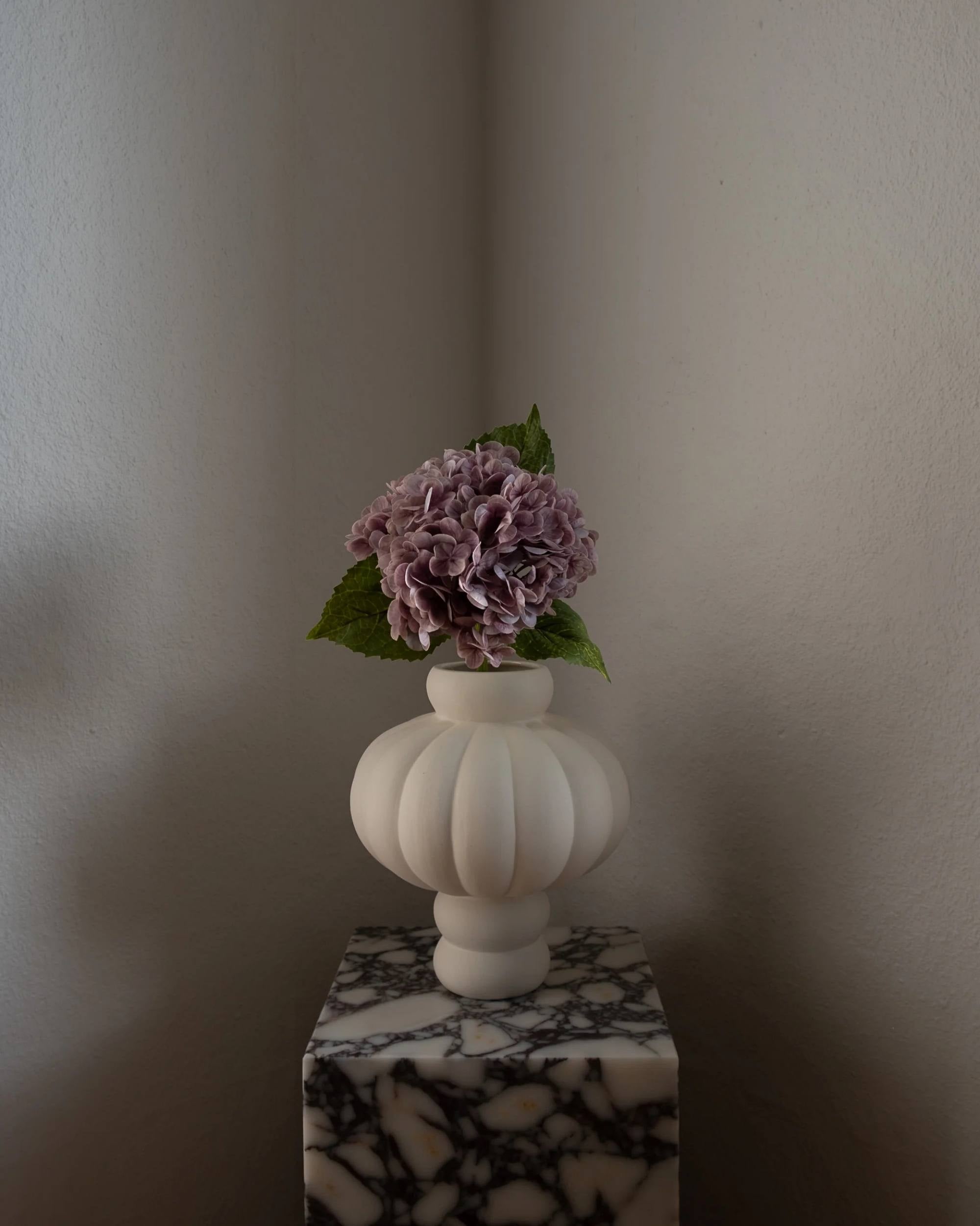 Hortensia fra Amarante (1 stk)