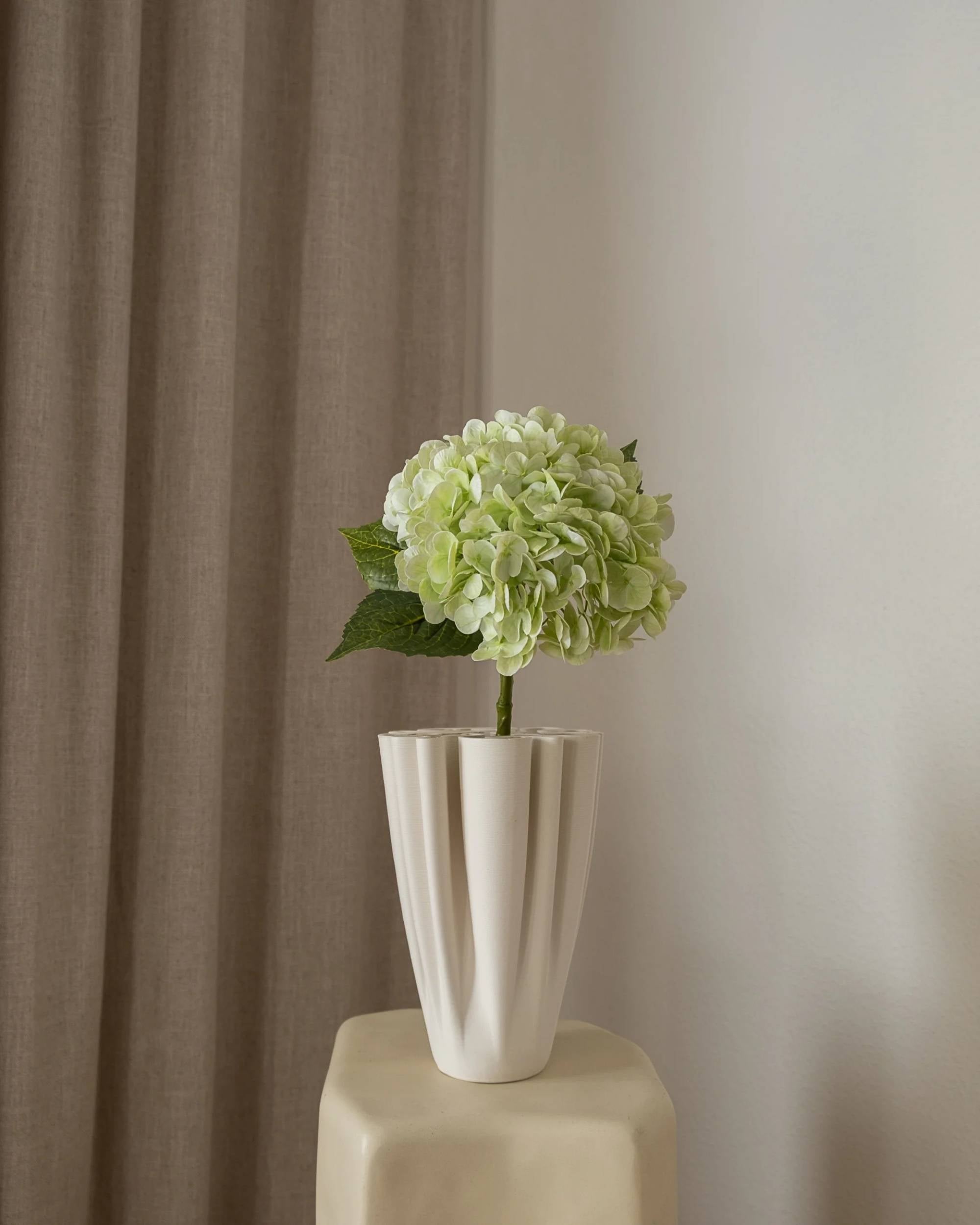 Hortensia fra Amarante (1 stk)