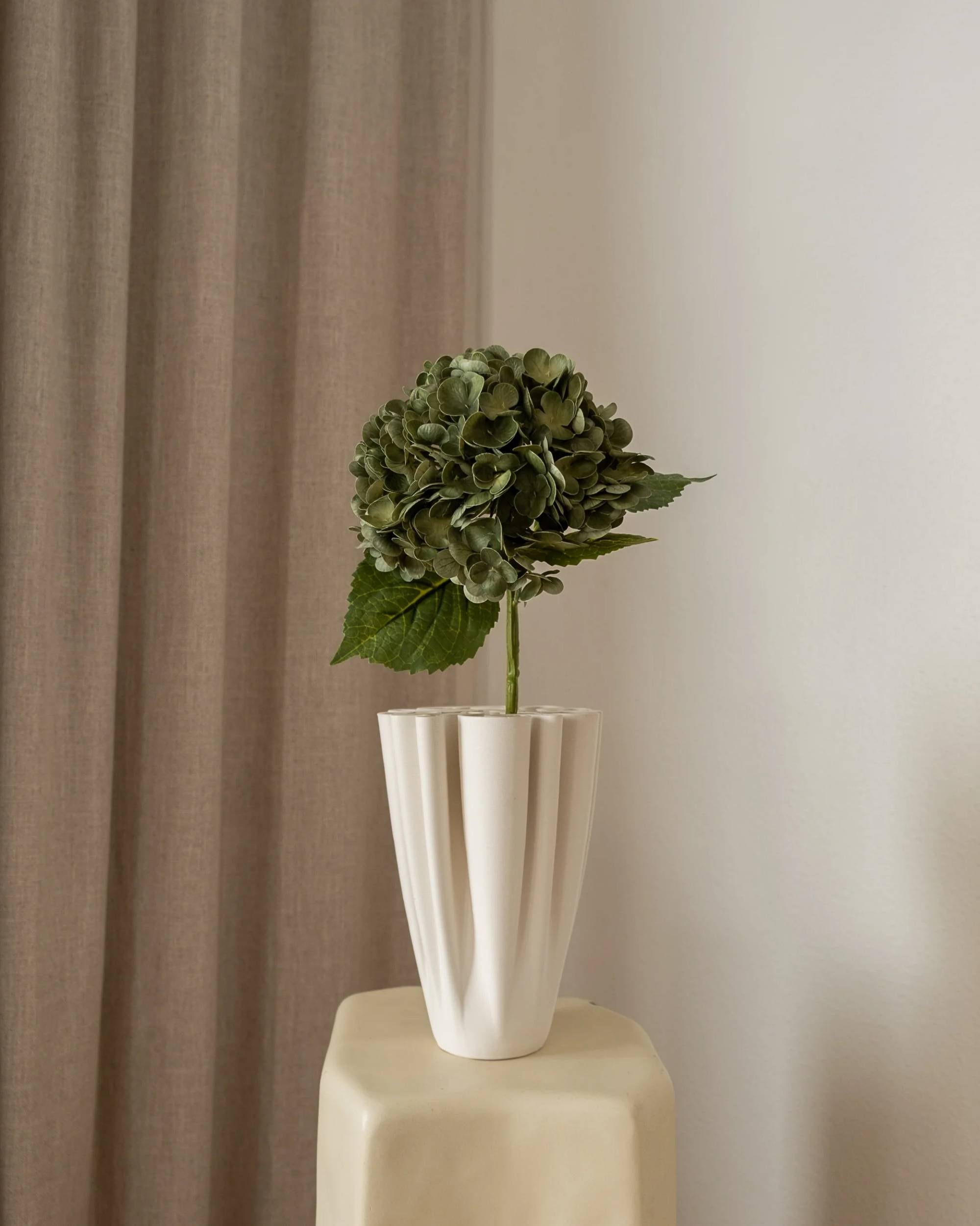 Hortensia fra Amarante (1 stk)