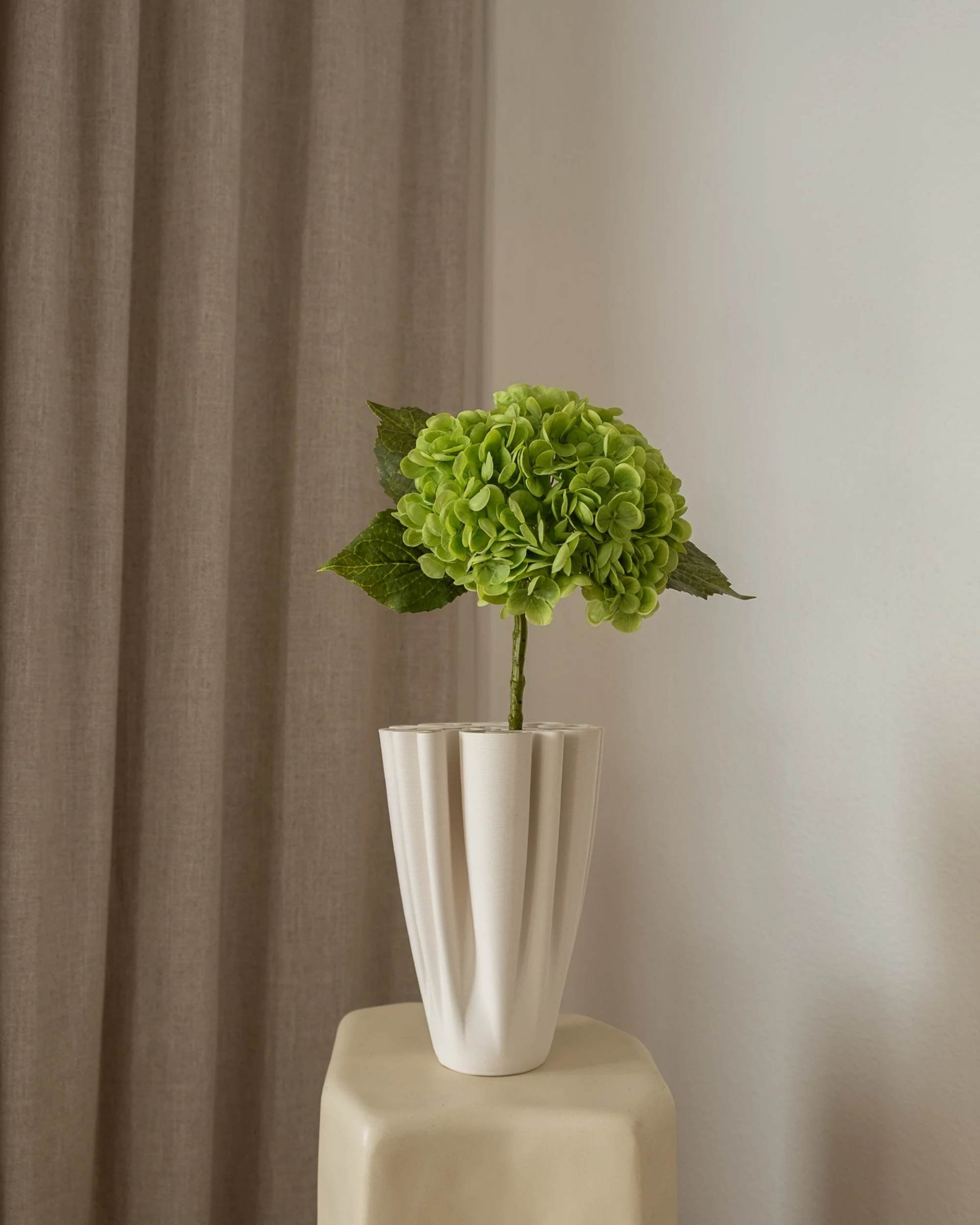 Hortensia fra Amarante (1 stk)