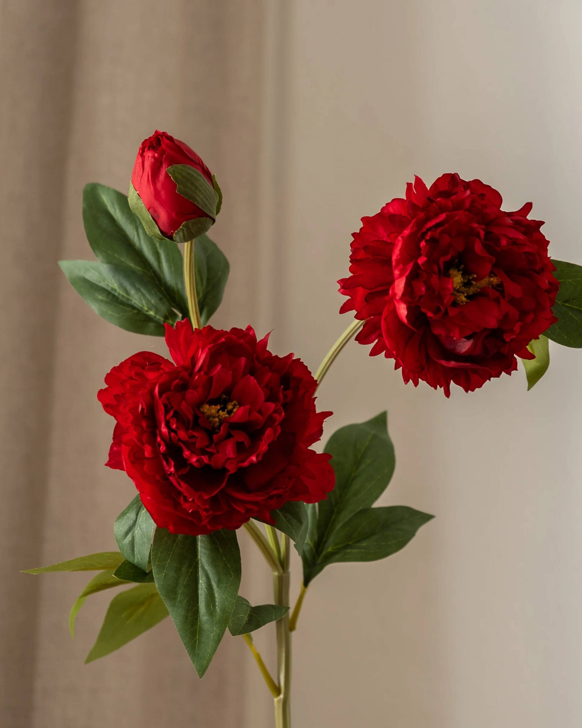 Peon 1 stk fra Amarante