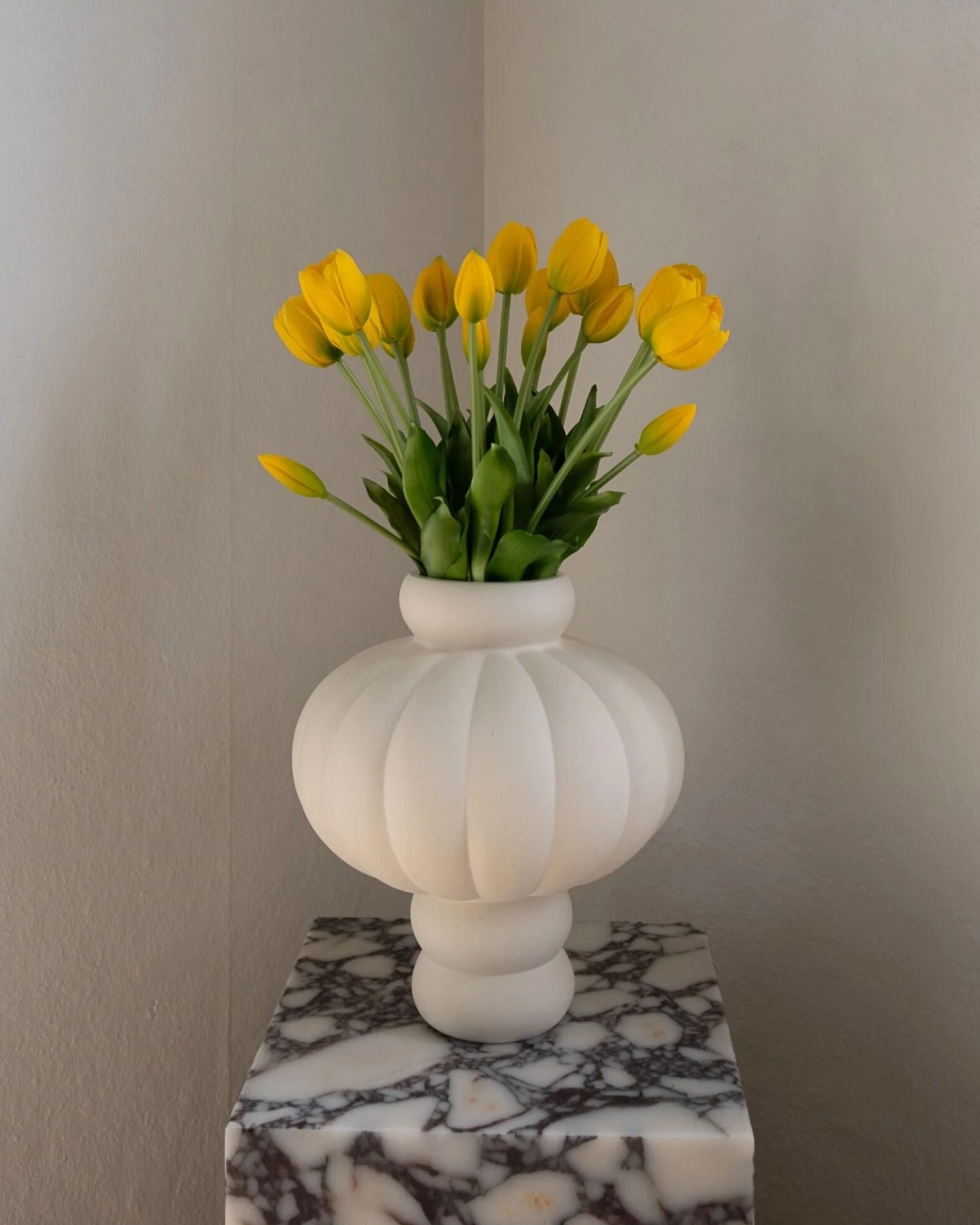 Tulipaner fra Amarante