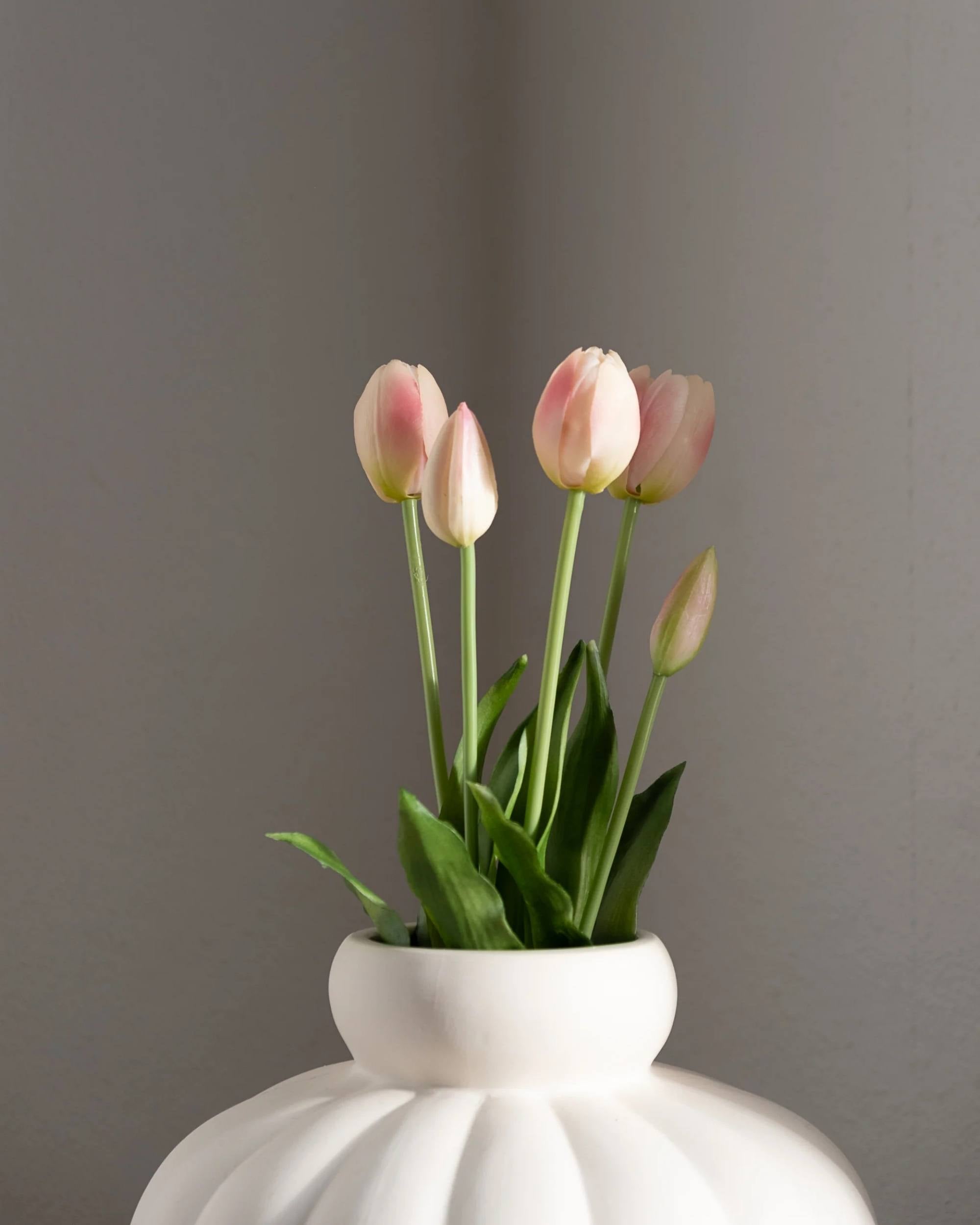 Tulipaner fra Amarante