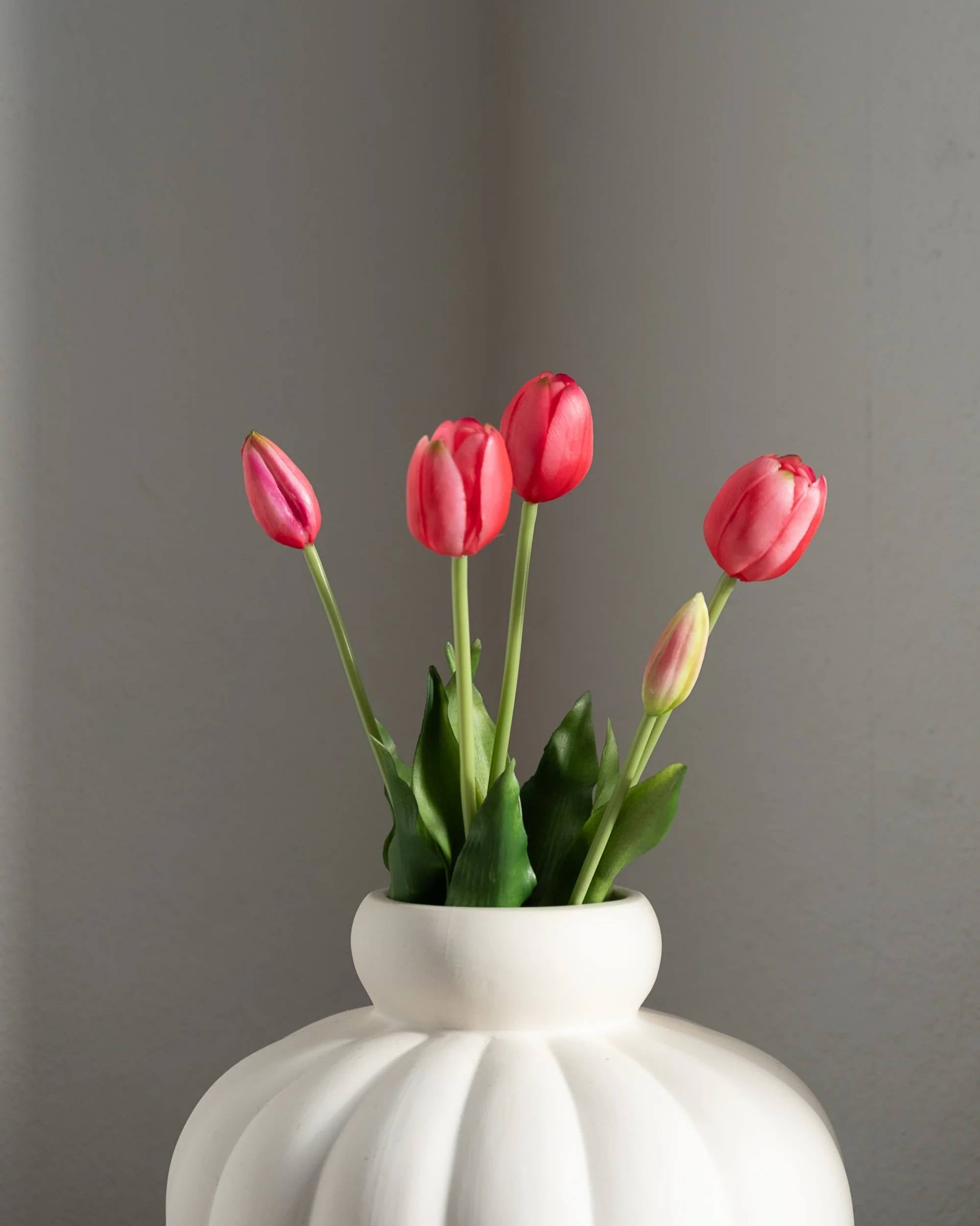 Tulipaner fra Amarante