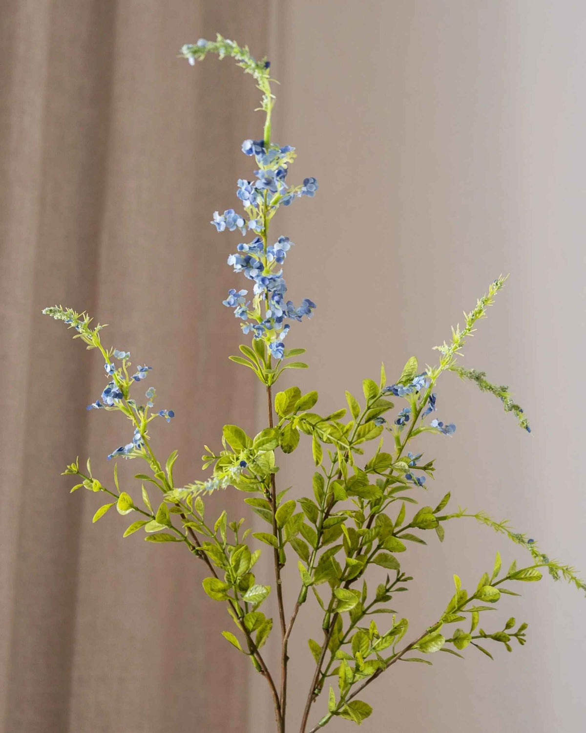 Villblomst fra Amarante